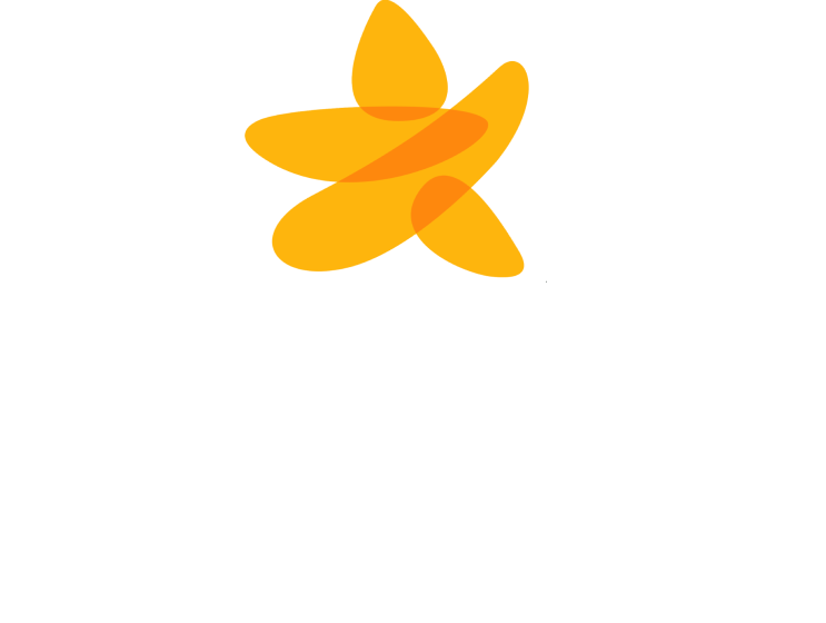 Givestar Enterprise logo