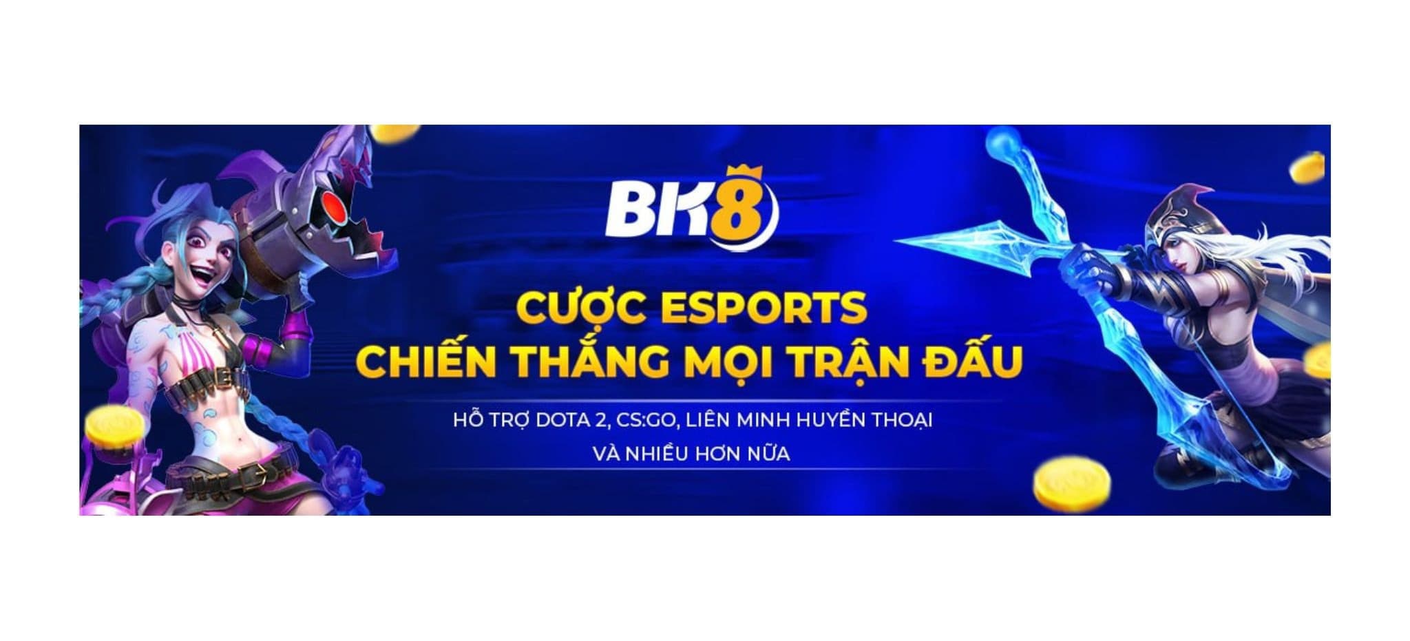 Banner image