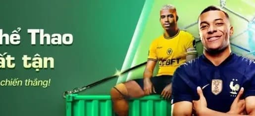 Banner image