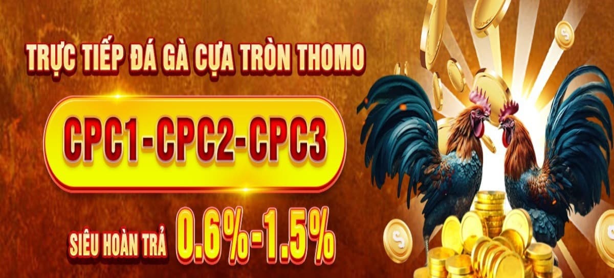 bj388 Đá Gà Trực Tiếp Đá Gà Trực Tiếp