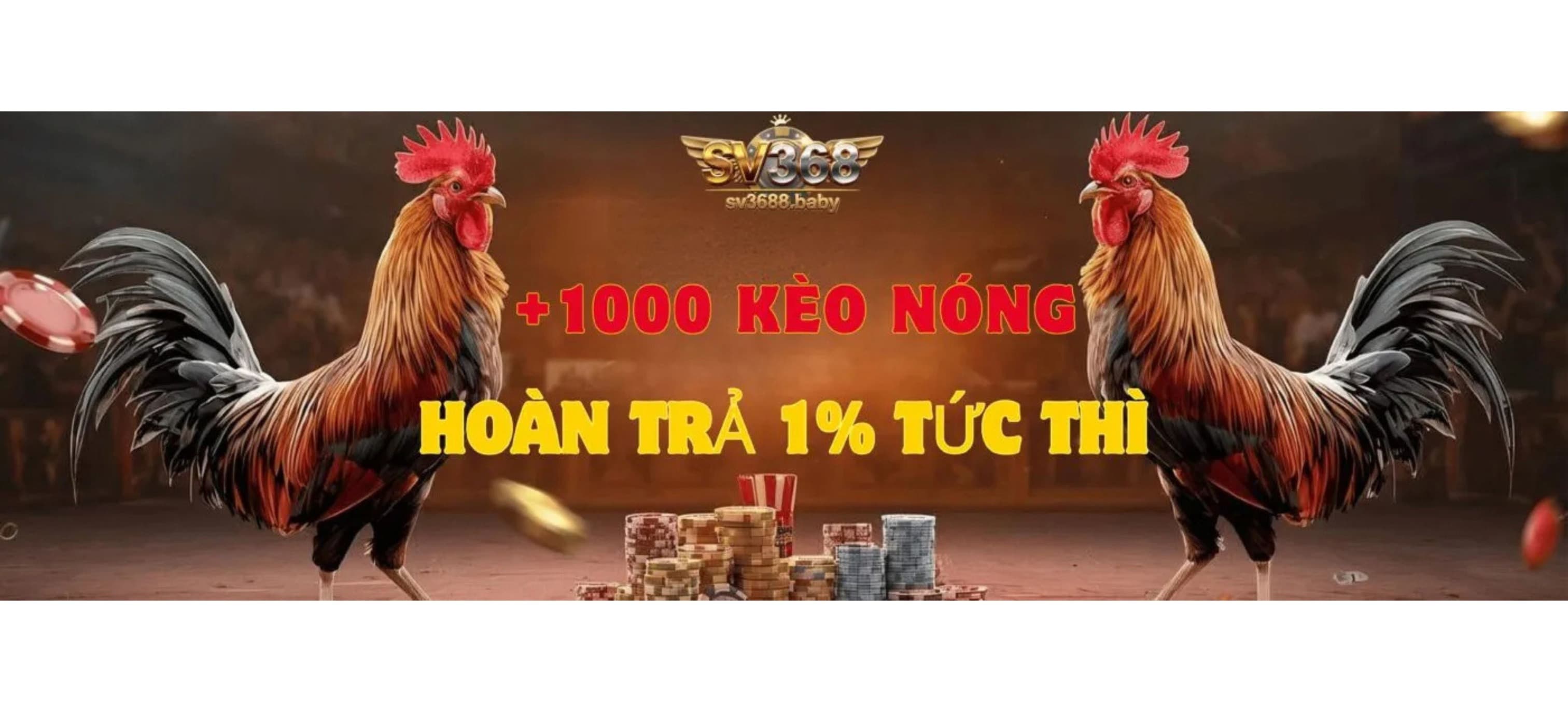 Banner image