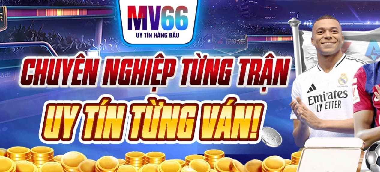 Banner image