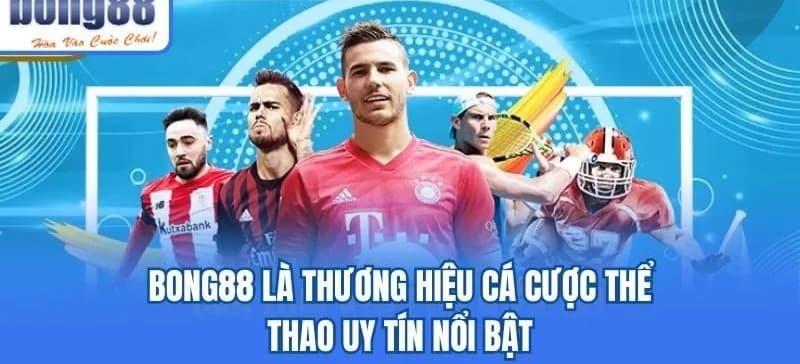 Banner image