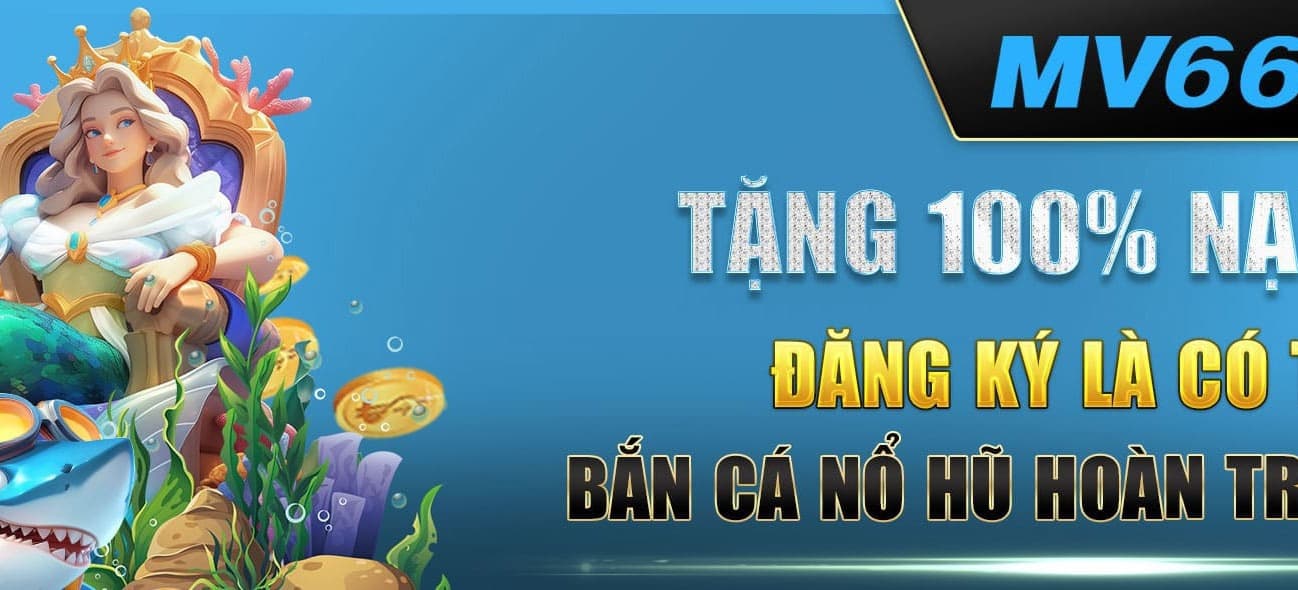 Banner image