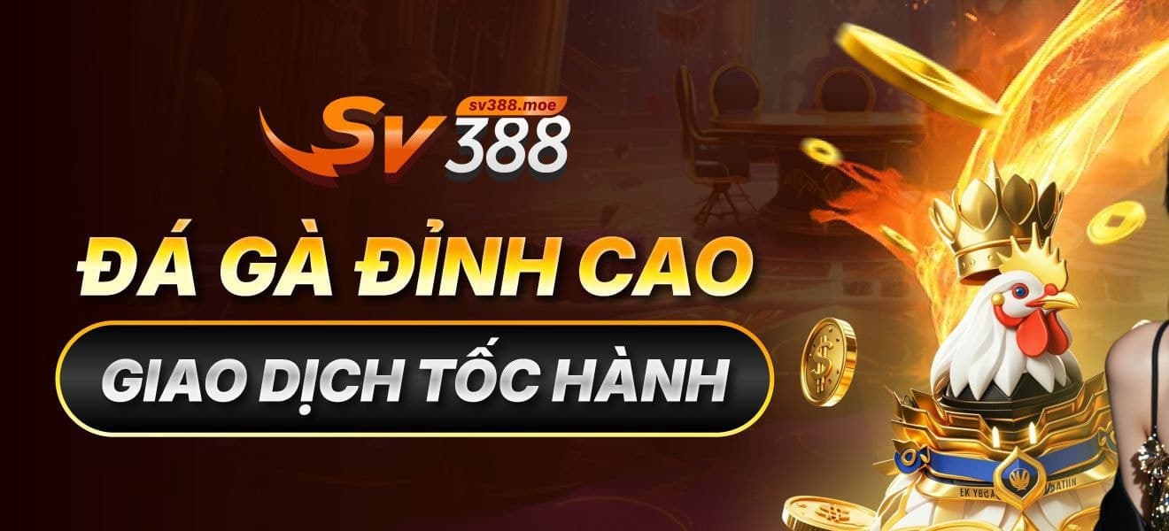 Banner image