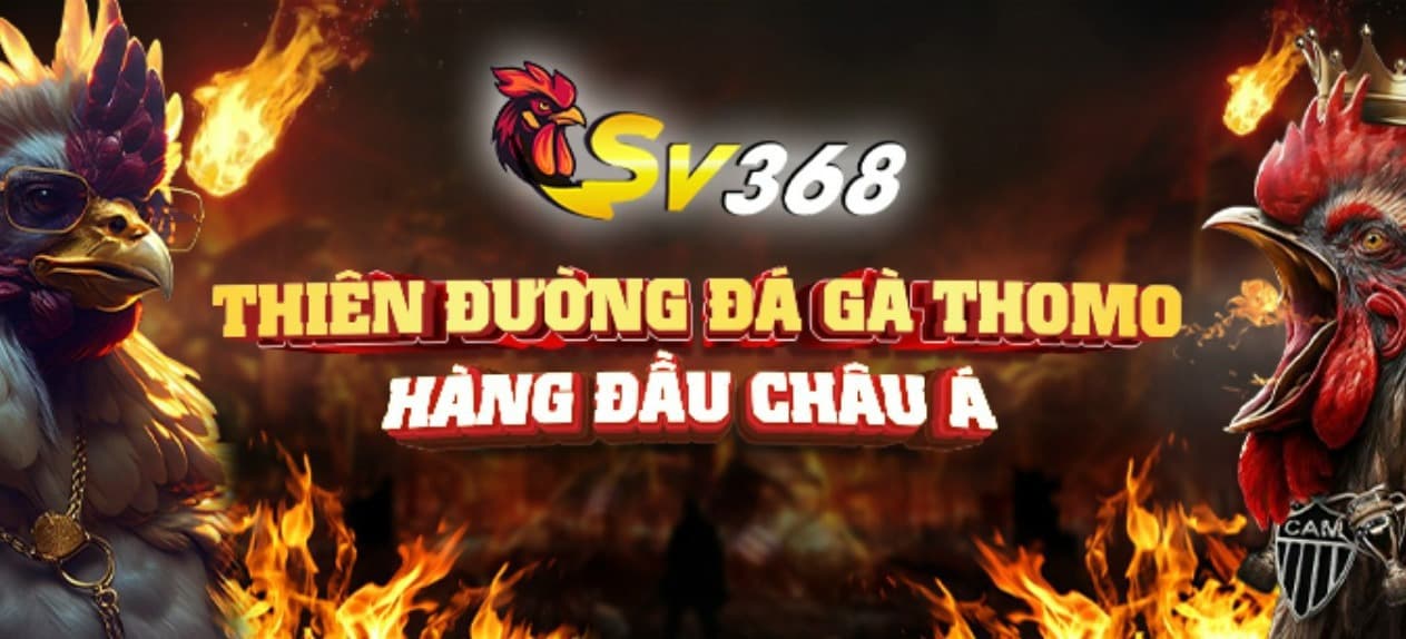 Banner image