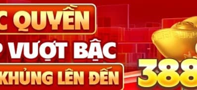 Banner image