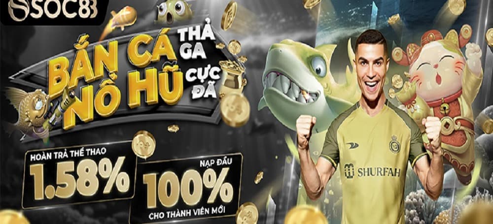 Banner image