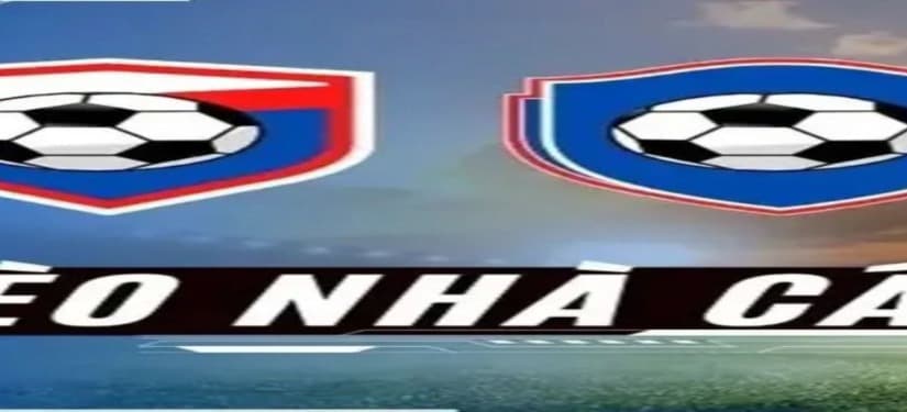 Banner image