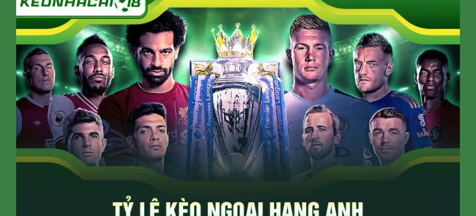 Banner image